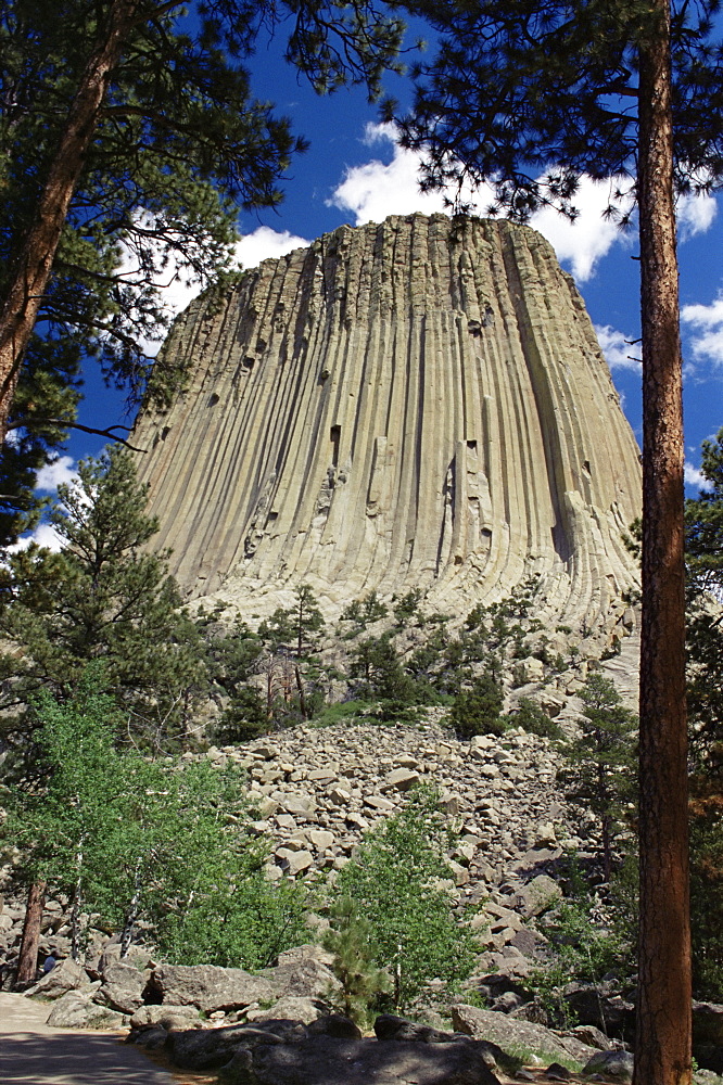 Devil's Tower, Devil's Tower National Monument, Wyoming, United States of America, North America