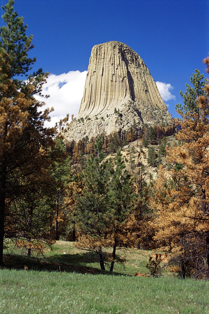 Devil's Tower, Devil's Tower National Monument, Wyoming, United States of America, North America