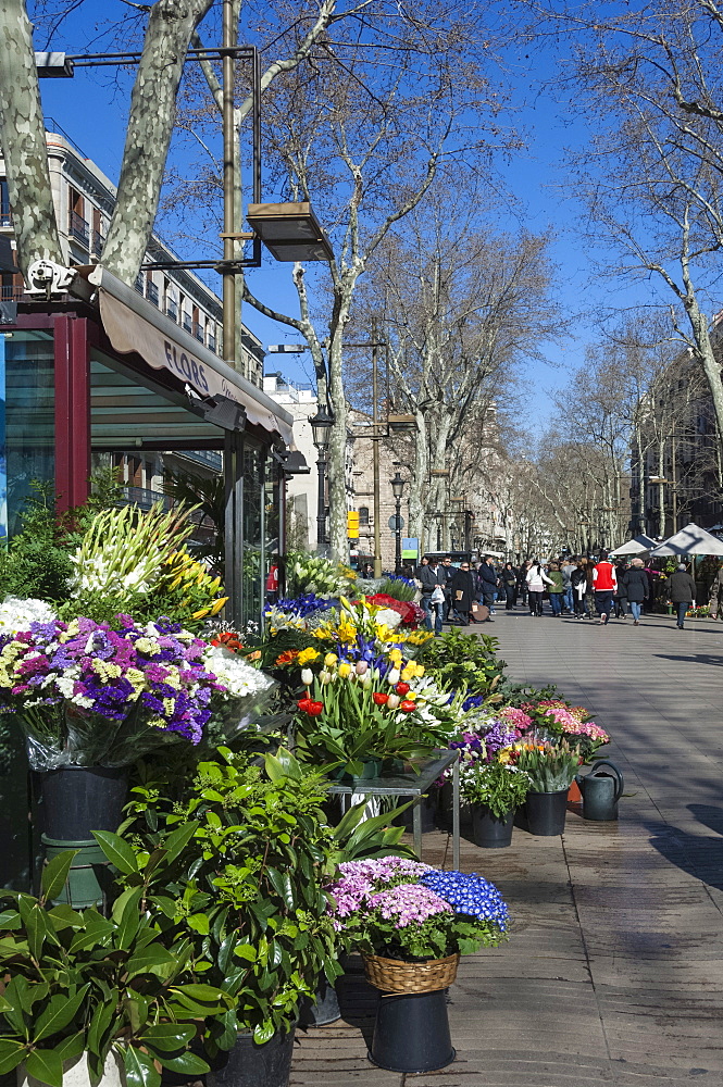 Flower stall on Las Ramblas, Barcelona, Catalunya, Spain, Europe 