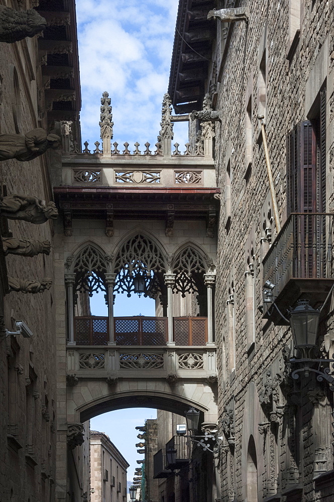 Architectural detail, Catalan Administrative Building, Old City, Barcelona, Catalunya, Spain, Europe 