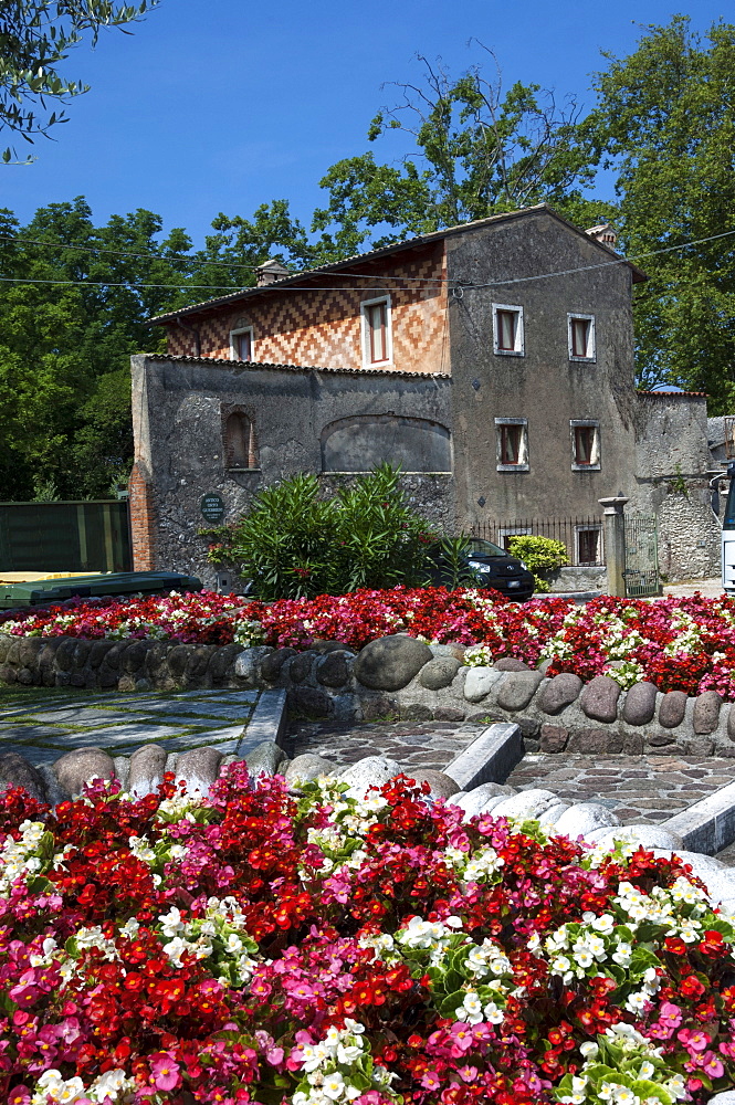 Floral display at Bardolino, Lake Garda, Italian Lakes, Lombardy, Italy, Europe