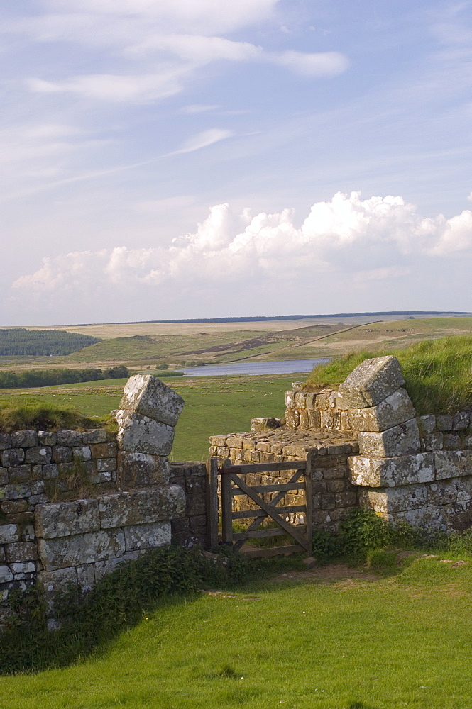 Hadrian's Wall, UNESCO World Heritage Site, Milecastle 37, North to Broomleagh Lough, Northumberland, England, United Kingdom, Europe