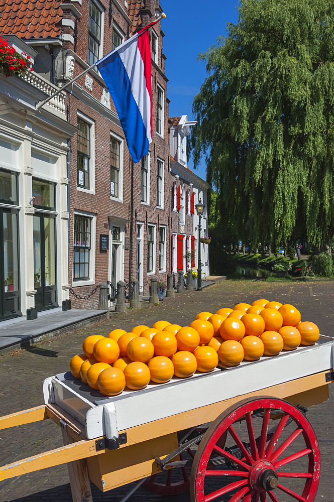 Edam cheese balls, Edam, Holland, Europe