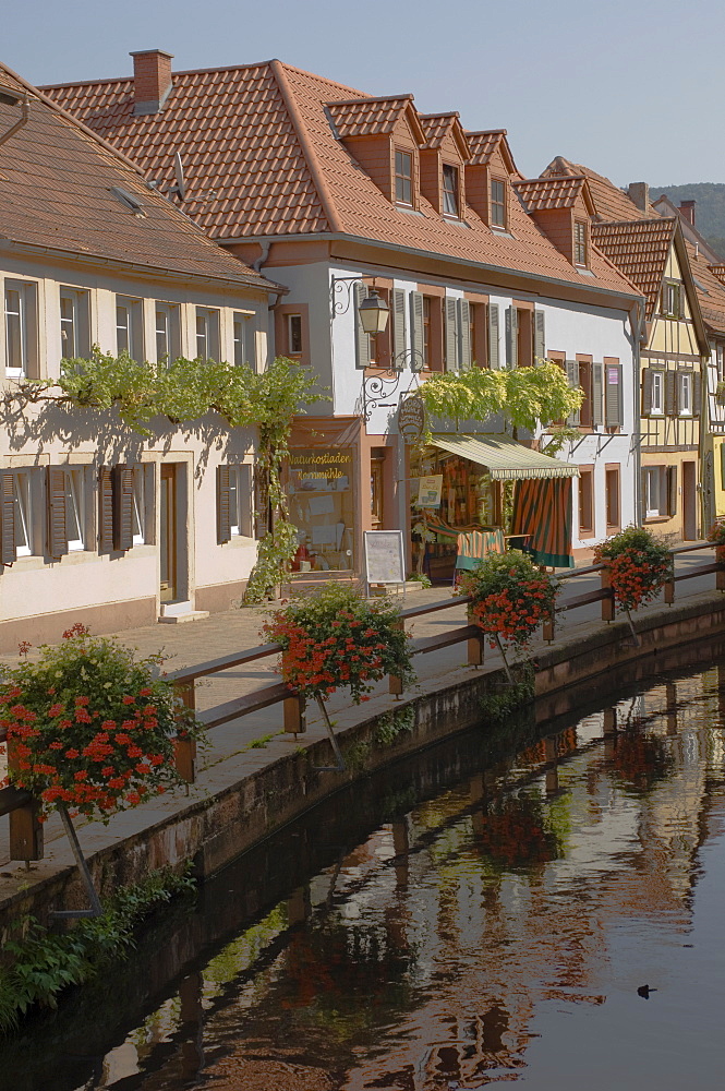 Traditional houses alongside millrace, Annweiler, Pfalzer Wald wine area, Rhineland Palatinate, Germany, Europe