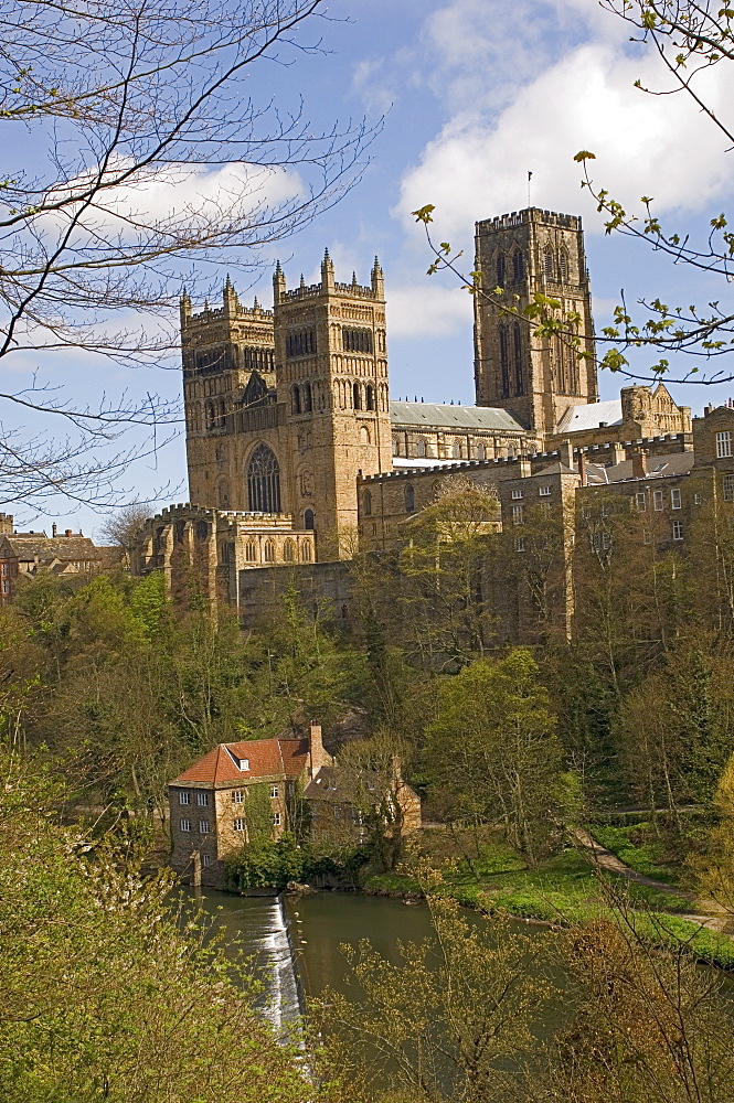 Durham Cathedral, UNESCO World Heritage Site, Durham City, Co. Durham, England, United Kingdom, Europe