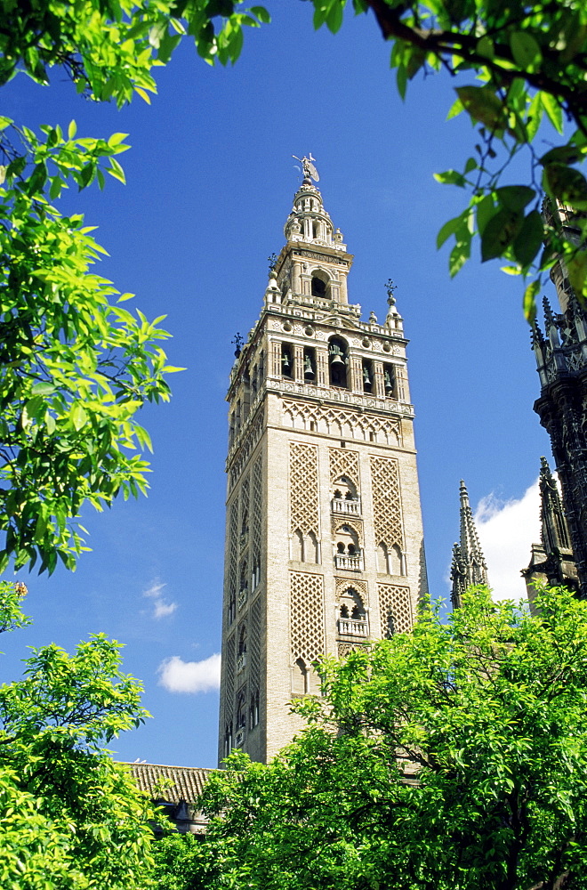 The Giralda, the Moorish minaret and observatory, Seville, Andalucia (Andalusia), Spain, Europe