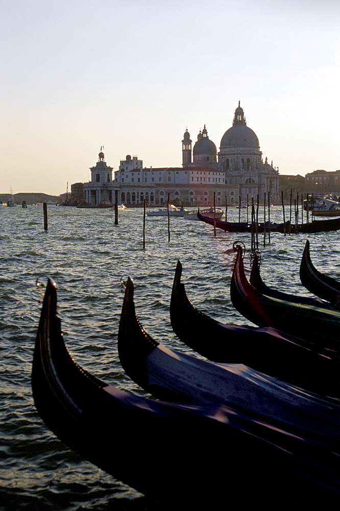 Gondolas and S.Maria Salute, Venice, Veneto, Italy, Europe