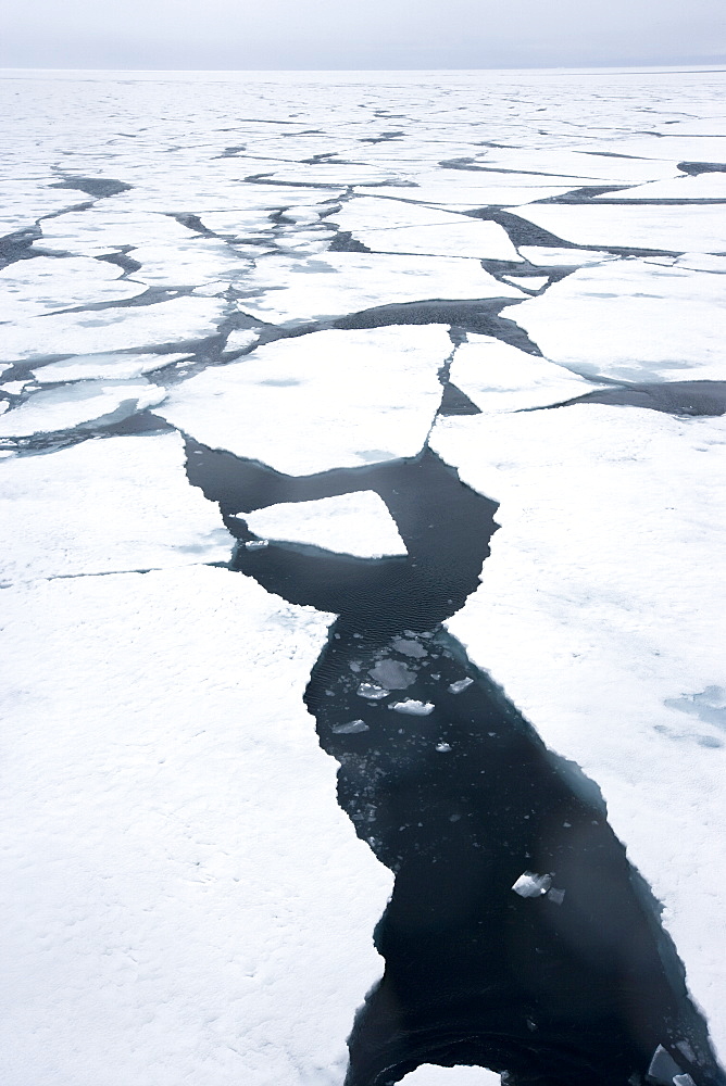 Ice floe, drift ice, Greenland, Arctic, Polar Regions