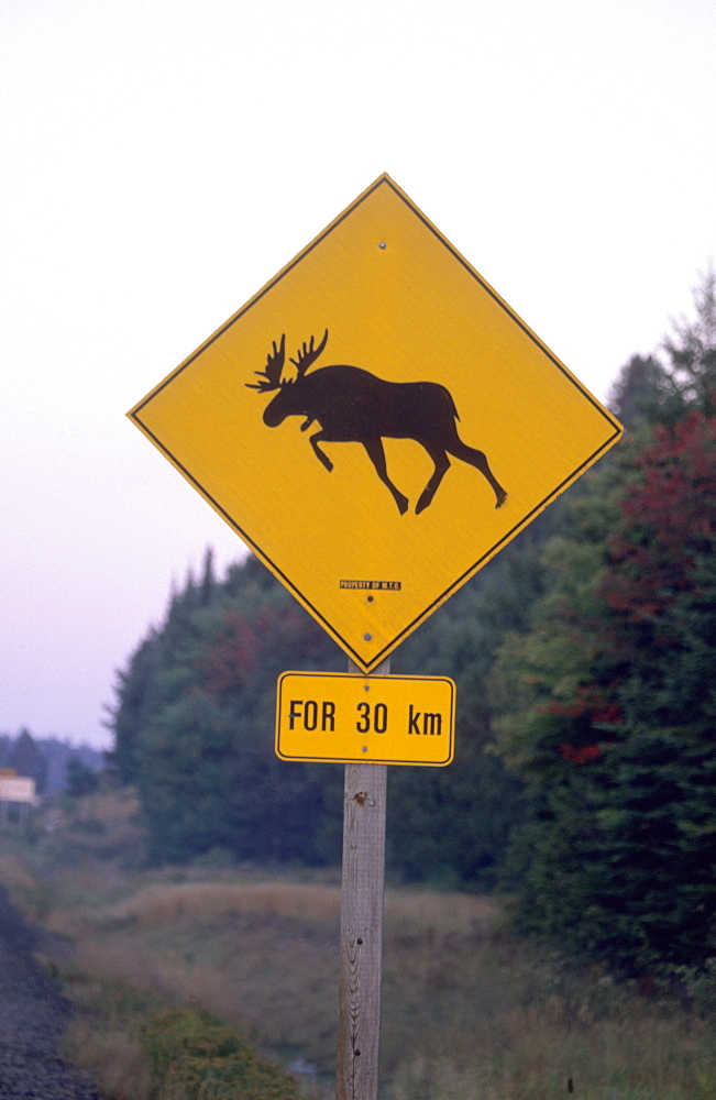 Sign, Moose crossing the road, Algonquin Provincial Park, Ontario, Canada, North America