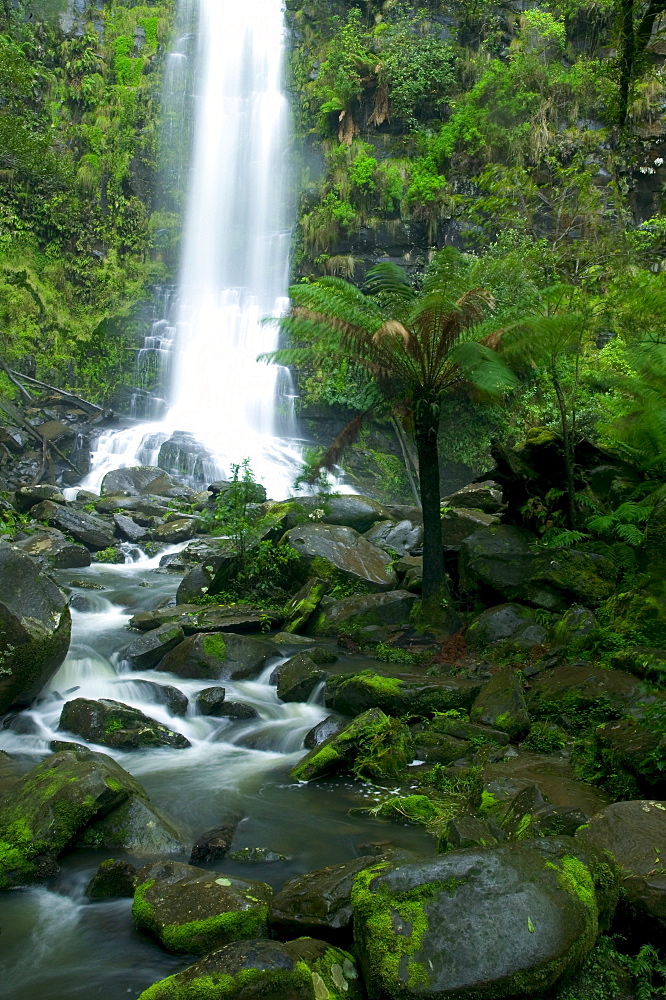 Erskine Falls, waterfall in the rainforest, Great Ocean Road, South Australia, Australia, Pacific