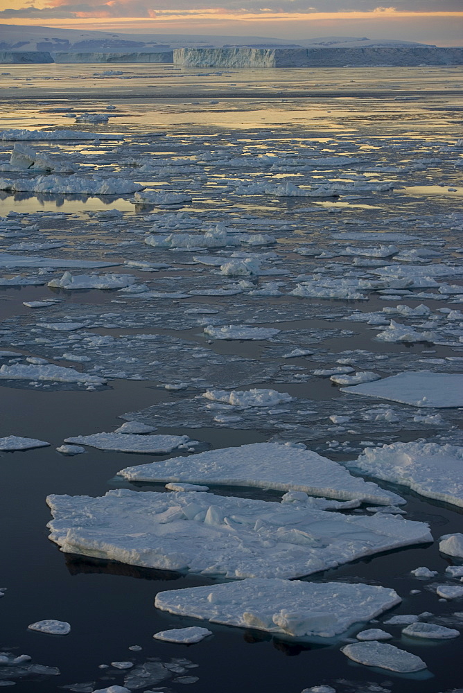 Pack ice, Weddell Sea, Antarctic Peninsula, Antarctica, Polar Regions