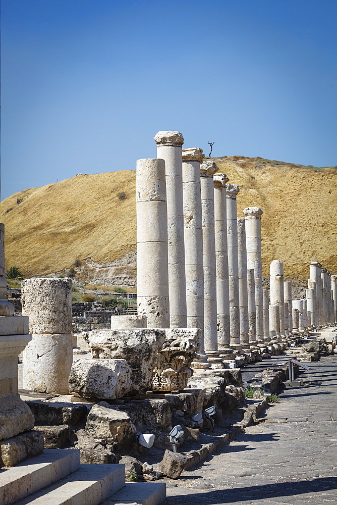 Ruins of the Roman-Byzantine city of Scythopolis, Tel Beit Shean National Park, Beit Shean, Israel, Middle East 