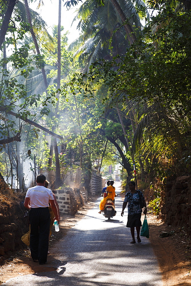 Typical road scene, Goa, India, Asia