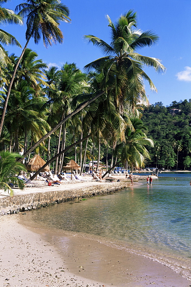 Tropical beach, Marigot Bay, St. Lucia, Windward Islands, West Indies, Caribbean, Central America