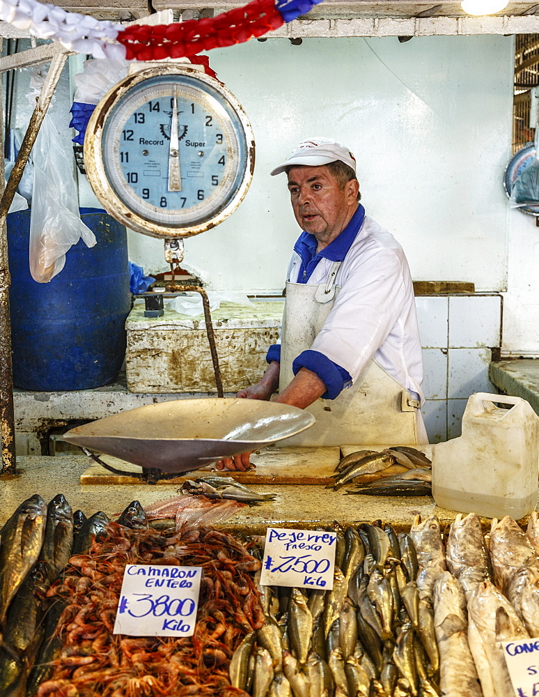 Fish and seafood stall at Mercado Central, Santiago, Chile, South America