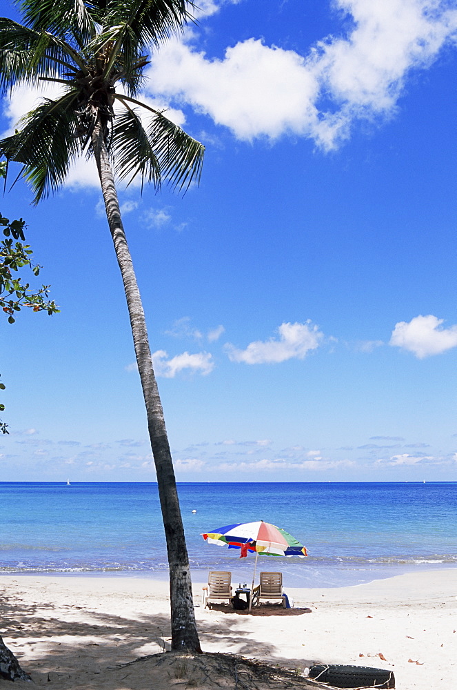 Chac beach, near Castries, St. Lucia, Windward Islands, West Indies, Caribbean, Central America