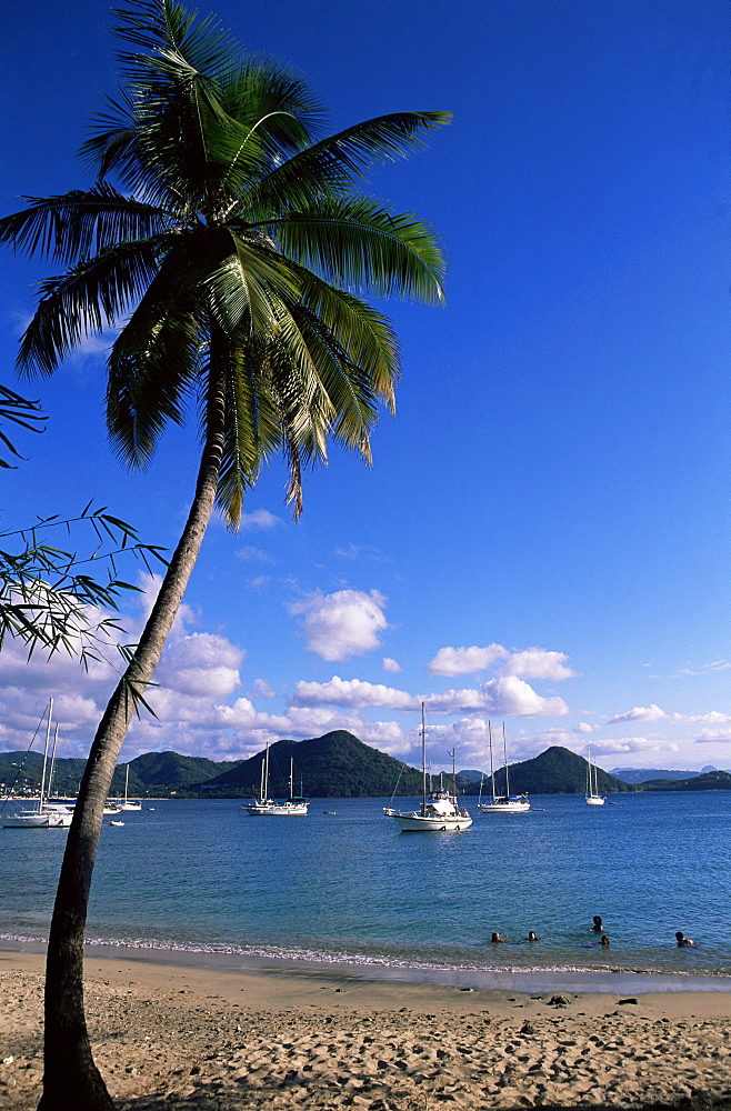 Pigeon Point, Rodney Bay, St. Lucia, Windward Islands, West Indies, Caribbean, Central America