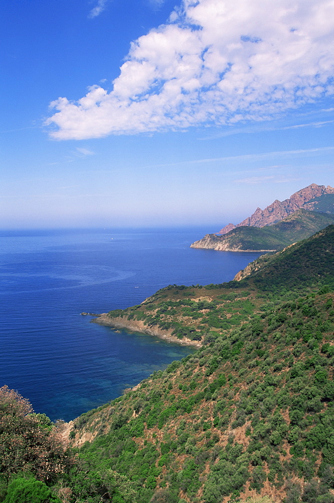 Golfe de Galeria, Corsica, France, Mediterranean, Europe