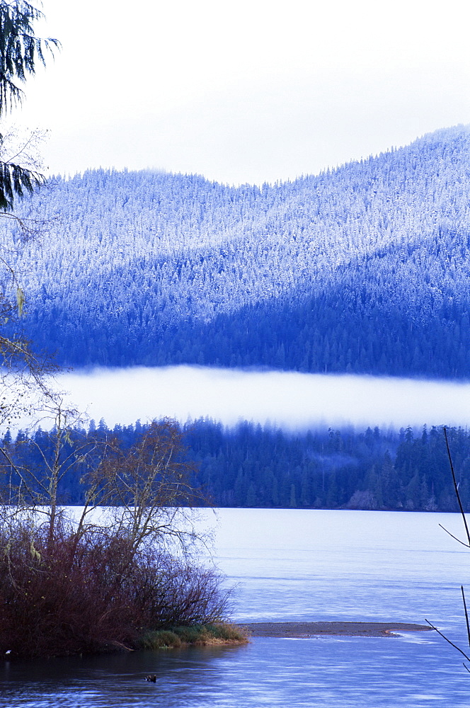 Lake Quinault, Olympic National Park, UNESCO World Heritage Site, Washington State, United States of America (U.S.A.), North America