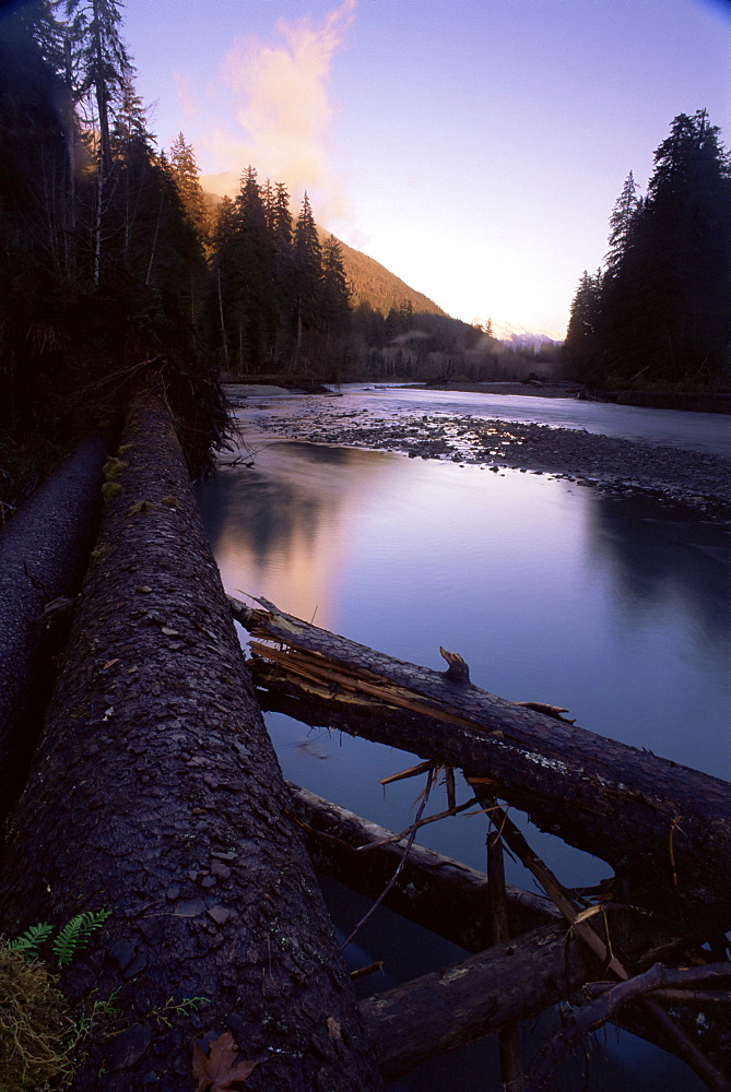 Sunset over the Hoh River, Hoh Valley, Olympic National Park, UNESCO World Heritage Site, Washington State, United States of America (U.S.A.), North America