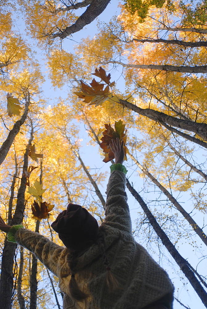 Girl throws leaves in the air to celebrate autumn, Vashon Island, Washington State, United States of America, North America