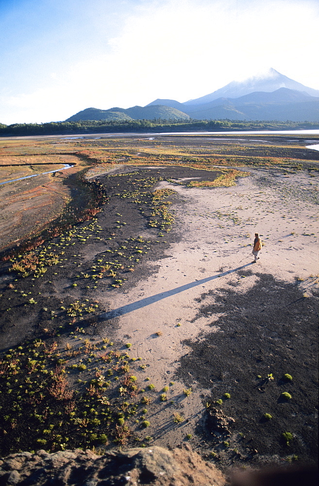 Man walking on dry lake bed with Llaima Volcano in distance, Conguillio National Park, Chile, South America