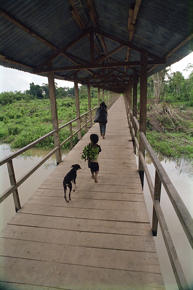 Dog follows boy carrying bananas in small community outside Iquitos, Amazon River, Peru, South America