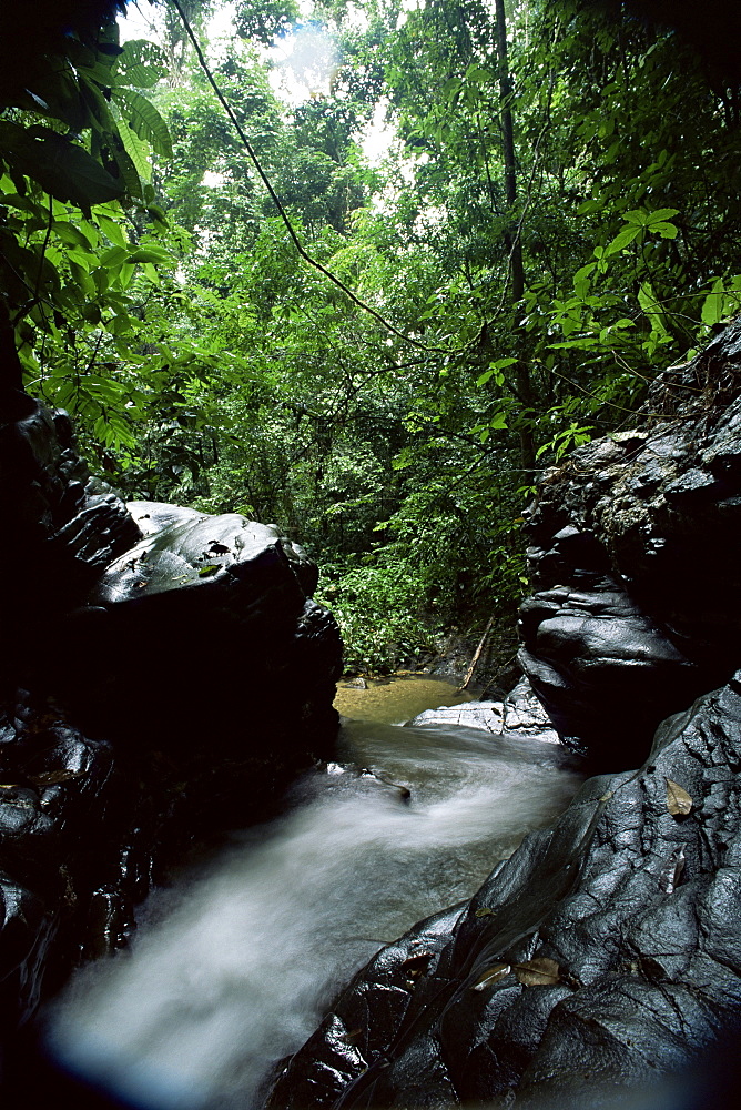 Stream near Blanchisseuse Beach, northern coast, Trinidad, West Indies, Central America