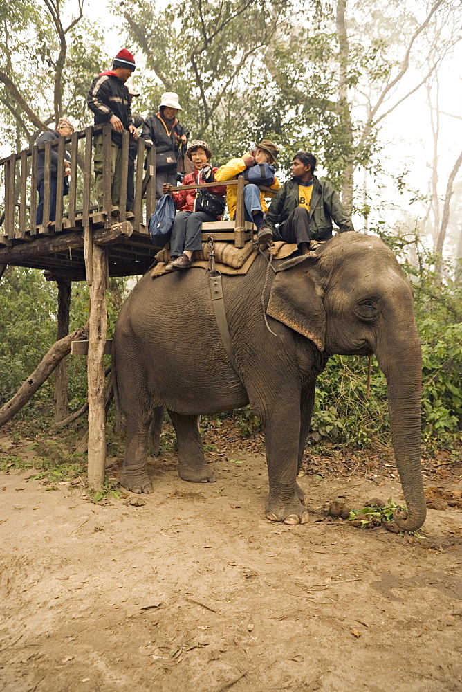 Japanese tourists board the elephant that will take them on safari, at the Island Jungle Resort hotel, Royal Chitwan National Park, Terai, Nepal, Asia