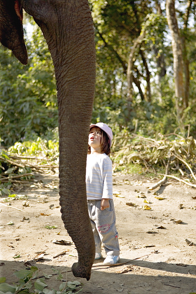 Two year old girl and the elephant that will take her on safari, at the Island Jungle Resort hotel, Royal Chitwan National Park, Terai, Nepal, Asia