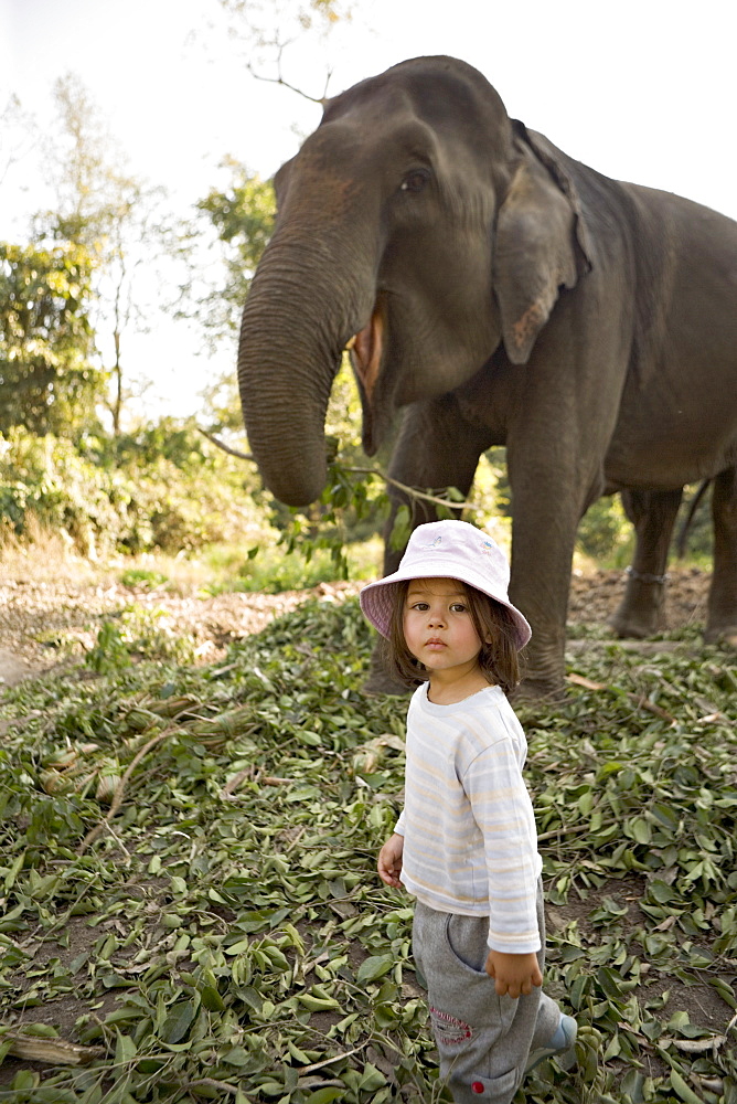 Two year old girl and the elephant that will take her on safari, at the Island Jungle Resort hotel, Royal Chitwan National Park, Terai, Nepal, Asia