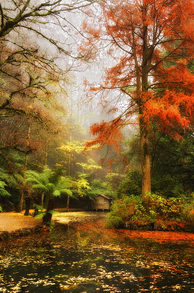 The boathouse, Alfred Nicholas Gardens, Dandenong Ranges, Victoria, Australia, Pacific