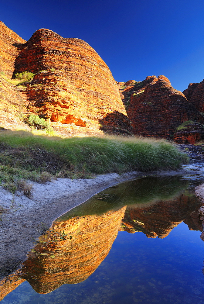 The Domes, Bungle Bungle, Purnululu National Park, UNESCO World Heritage Site, Kimberley, Western Australia, Australia, Pacific