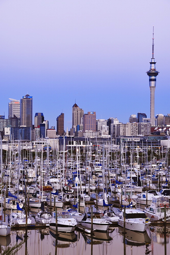 Westhaven, Waitemata Harbour, Auckland, North Island, New Zealand, Pacific