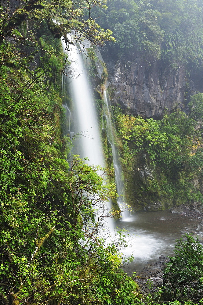 Dawson Falls, Mount Taranaki National Park (Mount Egmont National Park), Taranaki, North Island, New Zealand, Pacific