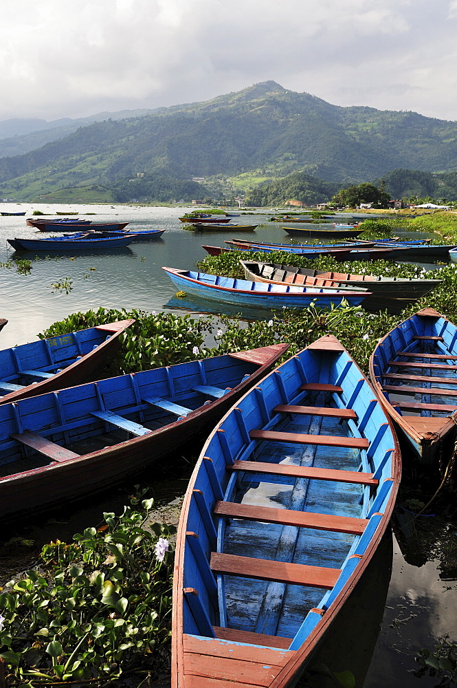 Phewa Tal (Phewa Lake), Pokhara, Gandaki, Western Region (Pashchimanchal), Nepal, Asia