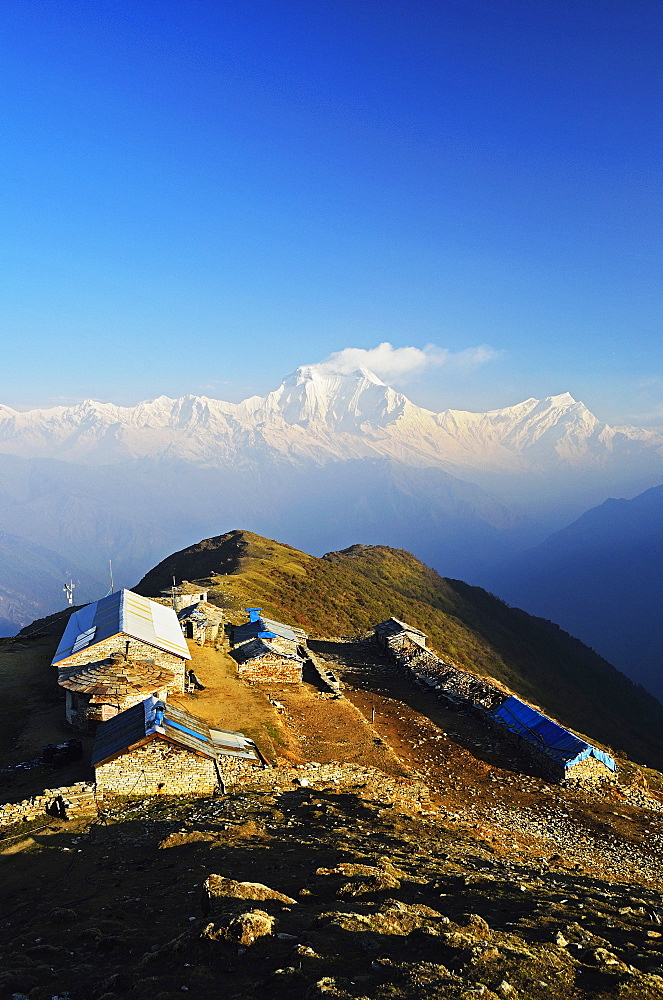 Dhaulagiri Himal seen from Khopra, Annapurna Conservation Area, Dhawalagiri (Dhaulagiri), Western Region (Pashchimanchal), Nepal, Himalayas, Asia