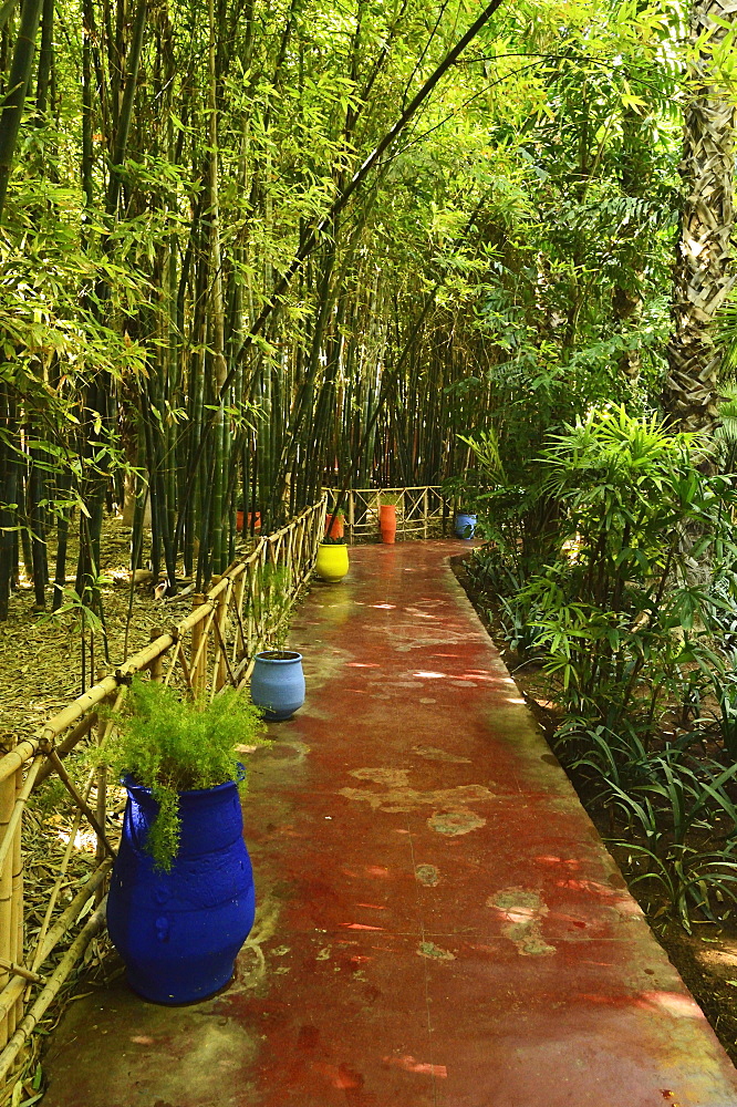 The Majorelle Gardens, Marrakesh, Morocco, North Africa, Africa