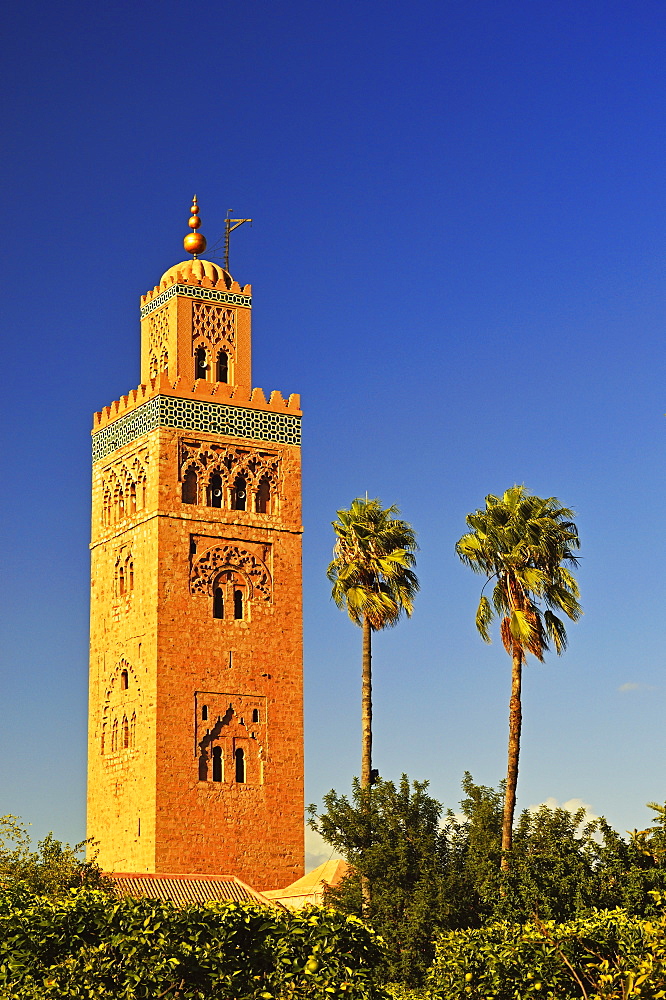 Koutoubia Mosque, Marrakesh, Morocco, North Africa, Africa