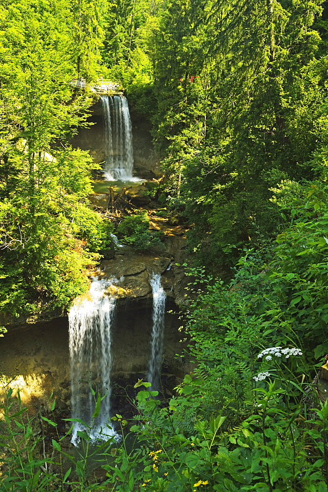 Scheidegg Waterfalls Nature Park, Scheidegg, Bavaria, Germany, Europe 