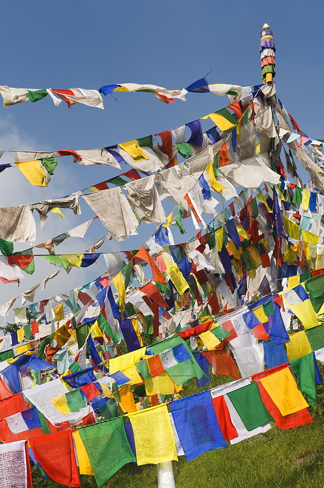 Buddhist prayer flags, McLeod Ganj, Dharamsala, Himachal Pradesh state, India, Asia