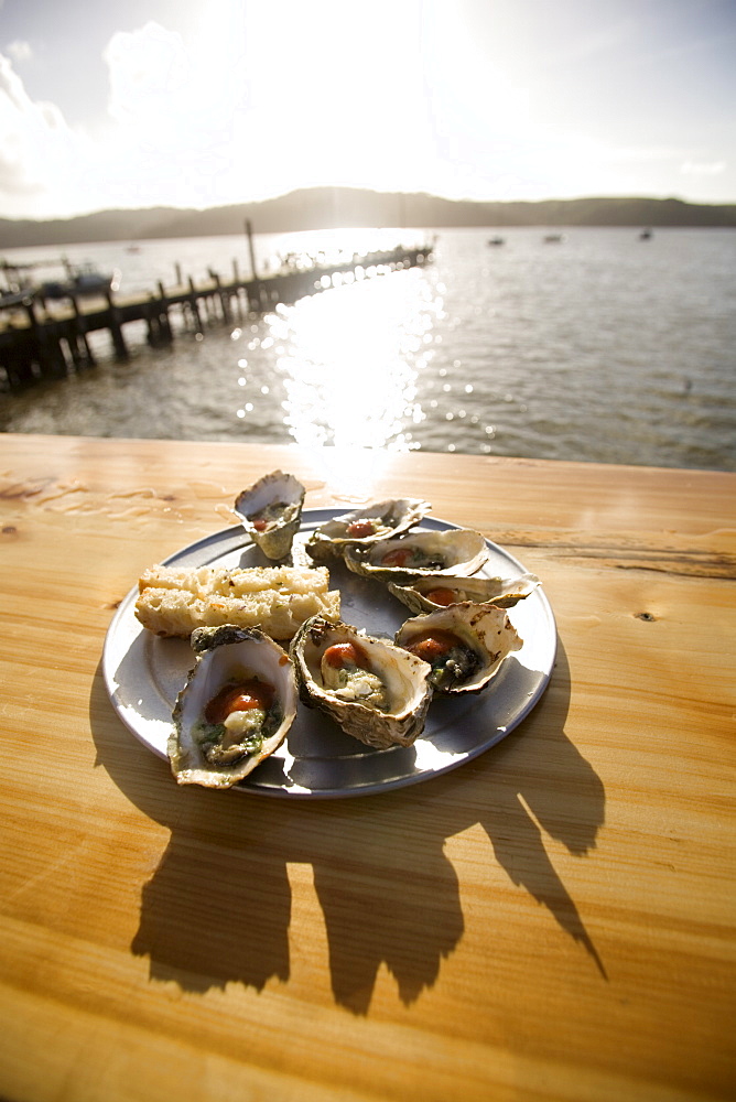 Oysters on half shells, California, United States of America, North America