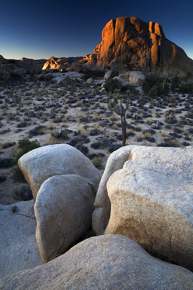 Landscape, Joshua Tree National Park, California, United States of America, North America