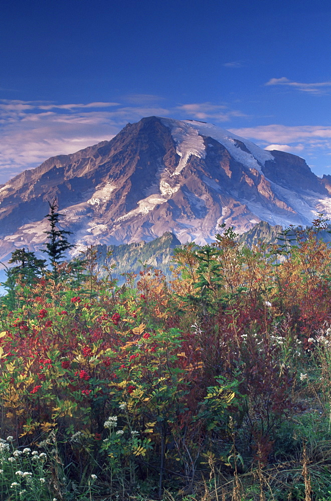 Landscape, Mount Rainier National Park, Washington state, United States of America, North America