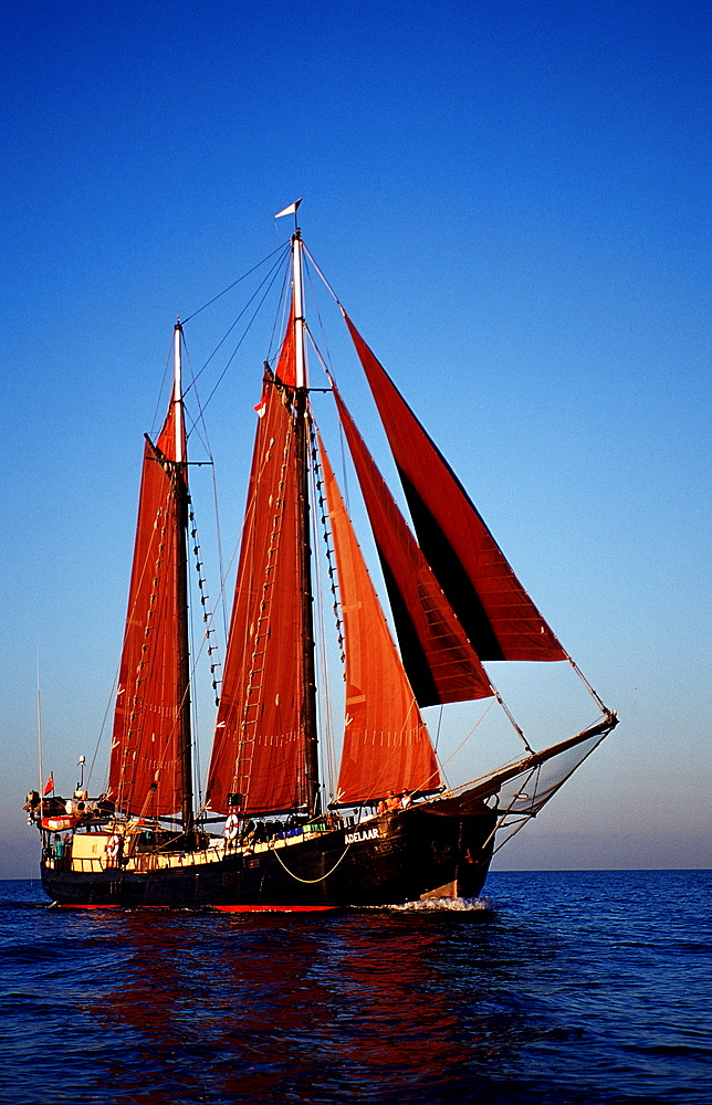 Sailing Ship, Tall Ship Adelaar, Indonesia, Indian Ocean, Komodo National Park