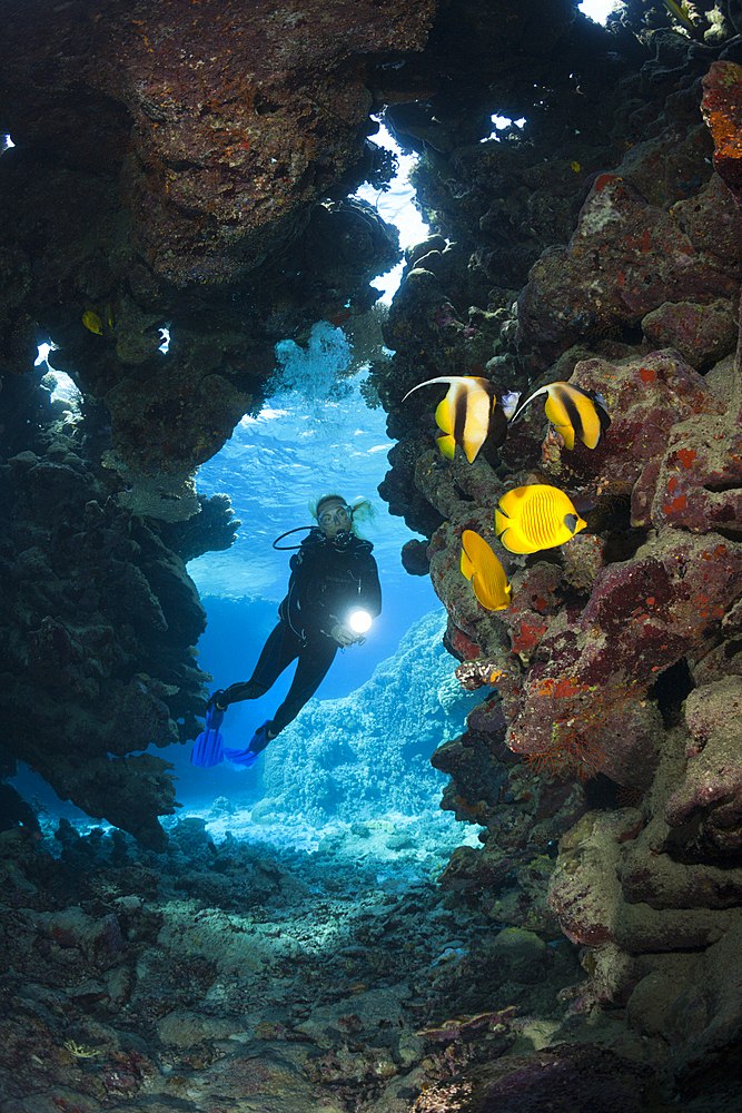 Scuba Diver inside Cave, Cave Reef, Red Sea, Egypt