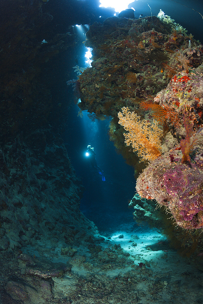 Scuba Diver inside Cave, Cave Reef, Red Sea, Egypt