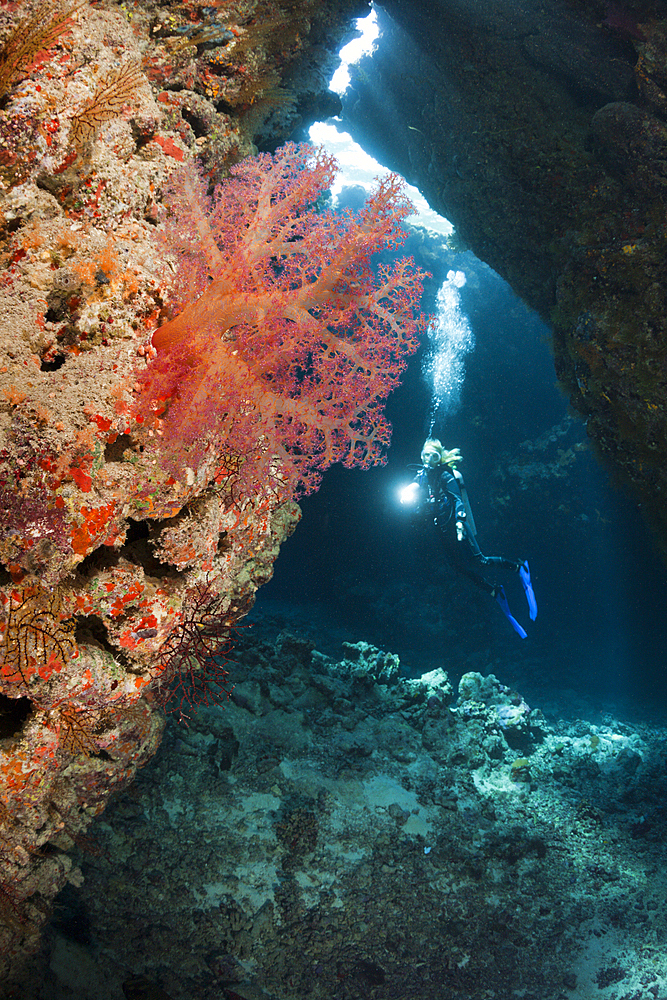 Scuba Diver inside Cave, Cave Reef, Red Sea, Egypt