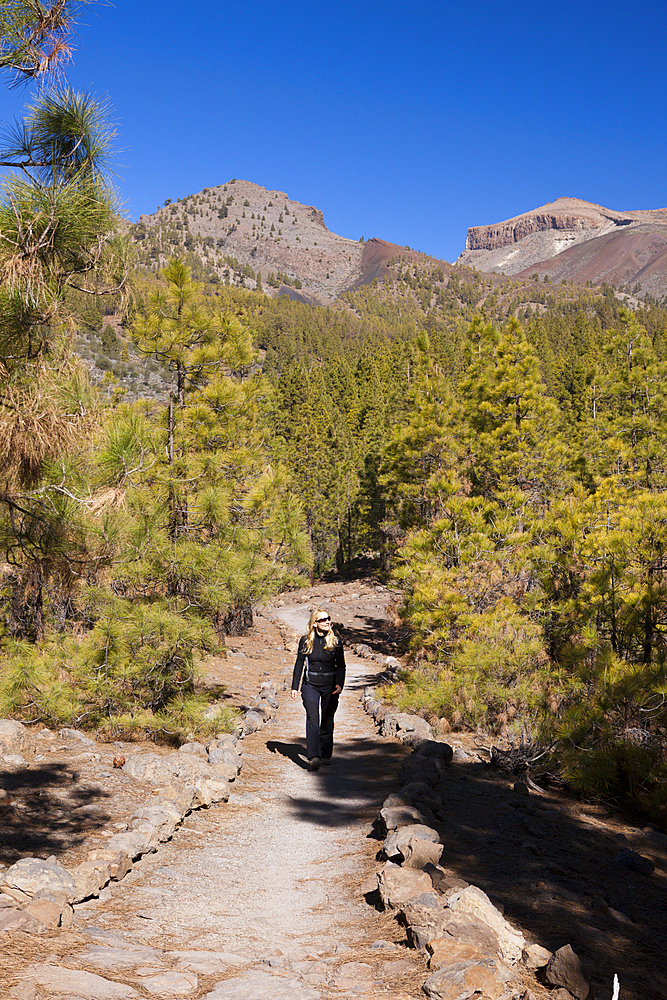 Hiking Tour to Paisaje Lunar near Vilaflor, Tenerife, Canary Islands, Spain