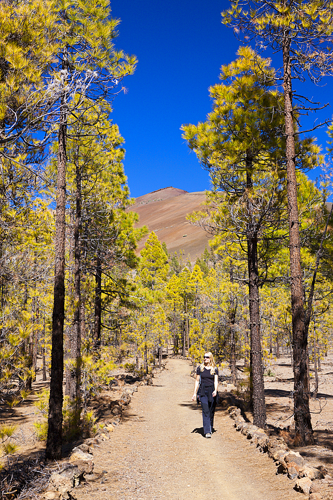 Hiking Tour to Paisaje Lunar near Vilaflor, Tenerife, Canary Islands, Spain